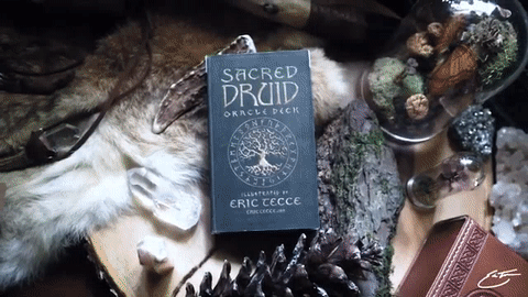 NEW DECK: 𝓢𝓐𝓒𝓡𝓔𝓓 𝓓𝓡𝓤𝓘𝓓 Oracle Deck ʙʏ ᴇʀɪᴄ ᴛᴇᴄᴄᴇ
