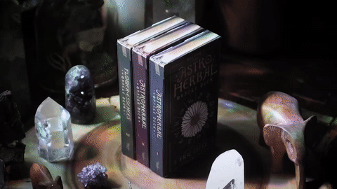 NEW DECKS: 𝒜𝒮𝒯𝑅☉ 𝐻𝐸𝑅𝐵𝒜𝐿 ✿ 𝐂𝐎𝐋𝐋𝐄𝐂𝐓𝐈𝐎𝐍 ✿ ʙʏ ᴇʀɪᴄ ᴛᴇᴄᴄᴇ