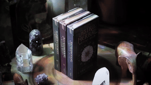 NEW DECKS: 𝒜𝒮𝒯𝑅☉ 𝐻𝐸𝑅𝐵𝒜𝐿 ✿ 𝐂𝐎𝐋𝐋𝐄𝐂𝐓𝐈𝐎𝐍 ✿ ʙʏ ᴇʀɪᴄ ᴛᴇᴄᴄᴇ