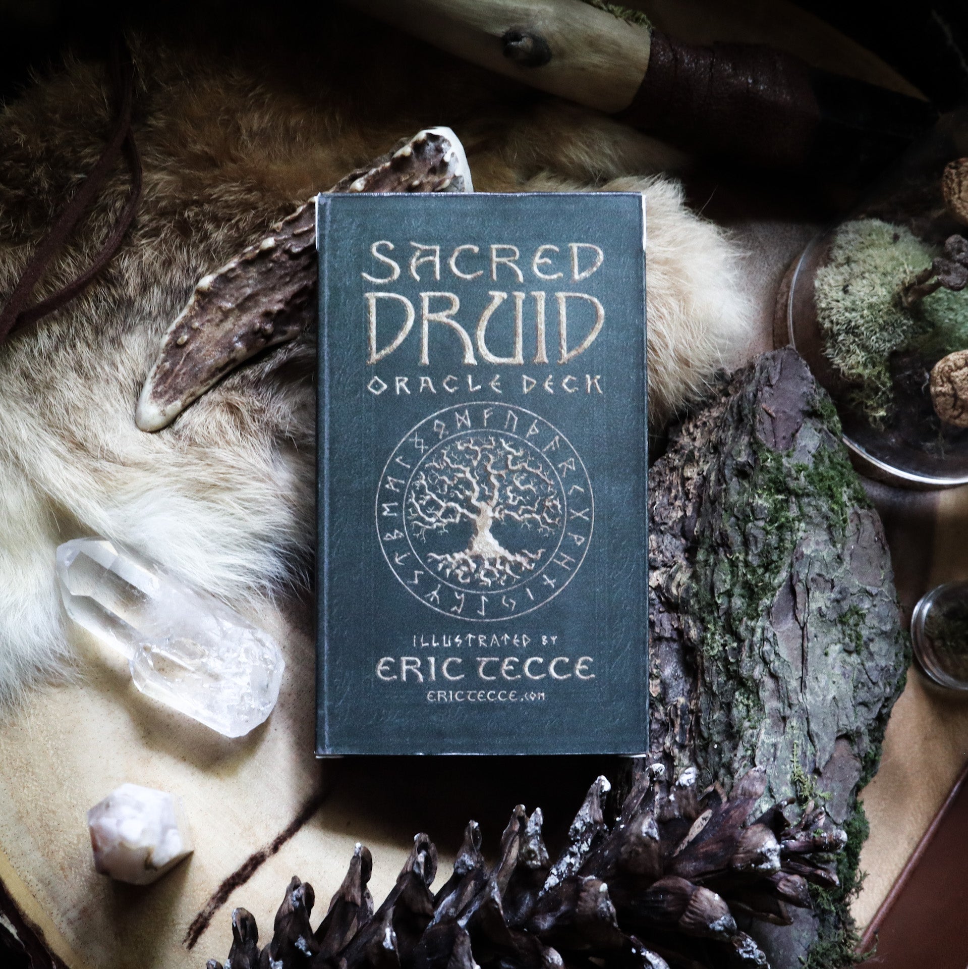 𝓢𝓐𝓒𝓡𝓔𝓓 𝓓𝓡𝓤𝓘𝓓 Oracle Deck ʙʏ ᴇʀɪᴄ ᴛᴇᴄᴄᴇ