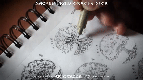 𝓢𝓐𝓒𝓡𝓔𝓓 𝓓𝓡𝓤𝓘𝓓 Oracle Deck ʙʏ ᴇʀɪᴄ ᴛᴇᴄᴄᴇ