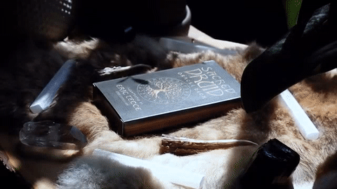 𝓢𝓐𝓒𝓡𝓔𝓓 𝓓𝓡𝓤𝓘𝓓 Oracle Deck ʙʏ ᴇʀɪᴄ ᴛᴇᴄᴄᴇ