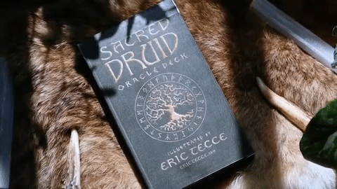 𝓢𝓐𝓒𝓡𝓔𝓓 𝓓𝓡𝓤𝓘𝓓 Oracle Deck ʙʏ ᴇʀɪᴄ ᴛᴇᴄᴄᴇ