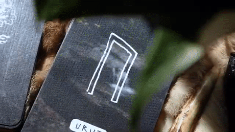 𝓢𝓐𝓒𝓡𝓔𝓓 𝓓𝓡𝓤𝓘𝓓 Oracle Deck ʙʏ ᴇʀɪᴄ ᴛᴇᴄᴄᴇ