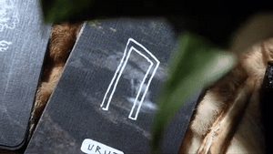 𝓢𝓐𝓒𝓡𝓔𝓓 𝓓𝓡𝓤𝓘𝓓 Oracle Deck ʙʏ ᴇʀɪᴄ ᴛᴇᴄᴄᴇ