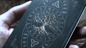 𝓢𝓐𝓒𝓡𝓔𝓓 𝓓𝓡𝓤𝓘𝓓 Oracle Deck ʙʏ ᴇʀɪᴄ ᴛᴇᴄᴄᴇ