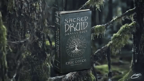 𝓢𝓐𝓒𝓡𝓔𝓓 𝓓𝓡𝓤𝓘𝓓 Oracle Deck ʙʏ ᴇʀɪᴄ ᴛᴇᴄᴄᴇ