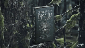 𝓢𝓐𝓒𝓡𝓔𝓓 𝓓𝓡𝓤𝓘𝓓 Oracle Deck ʙʏ ᴇʀɪᴄ ᴛᴇᴄᴄᴇ