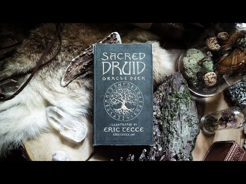 𝓢𝓐𝓒𝓡𝓔𝓓 𝓓𝓡𝓤𝓘𝓓 Oracle Deck ʙʏ ᴇʀɪᴄ ᴛᴇᴄᴄᴇ