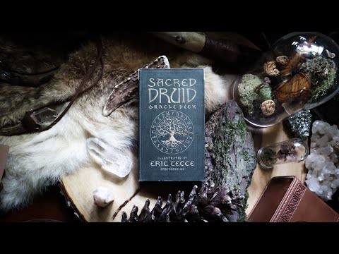 𝓢𝓐𝓒𝓡𝓔𝓓 𝓓𝓡𝓤𝓘𝓓 Oracle Deck ʙʏ ᴇʀɪᴄ ᴛᴇᴄᴄᴇ