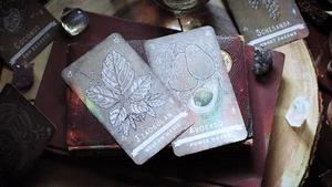 Divination Reading (Extended)